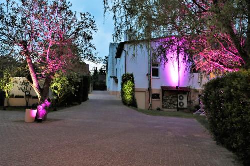Hotel Mohr & Spa - image 10