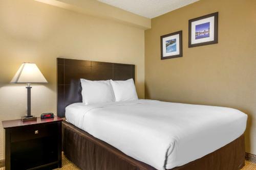 Comfort Inn International Drive - main image
