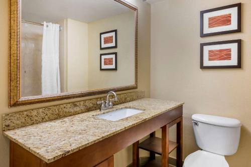 Comfort Inn International Drive - image 3