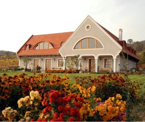 Koczor Winery and Guesthouse in Balatonfured