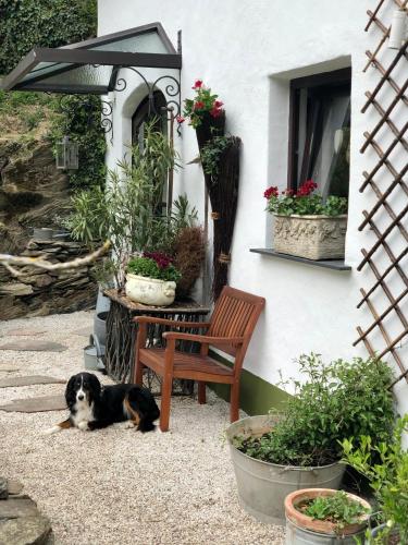 外部景觀, BrexHäuschen - Urlaub im Grünen (BrexHauschen - Urlaub im Grunen) in 赫爾-格倫茨豪森