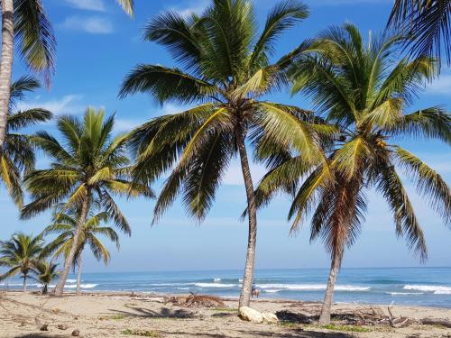 Villa Tropical Studio/ Apartment 4, Cabarete