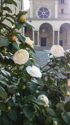 Hotel La Meridiana - image 5