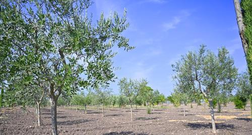 Tenuta Quisisana