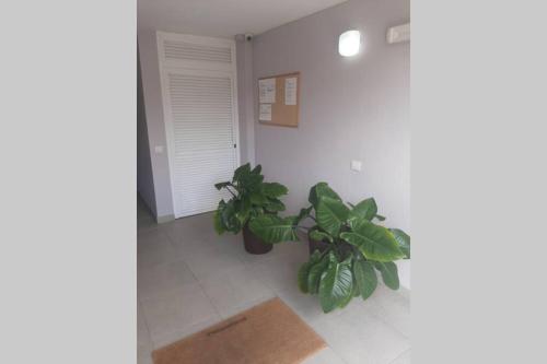 Apartamento moderno Timanfaya