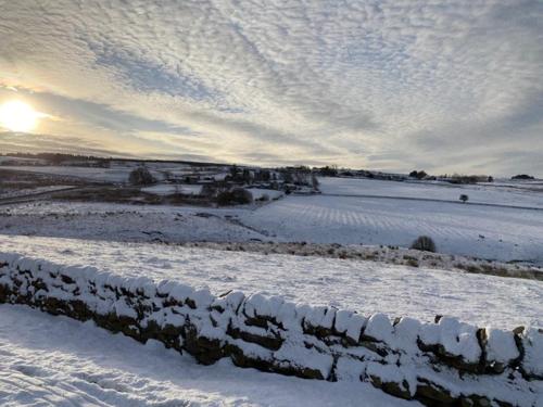 The Gun at Ridsdale - image 12