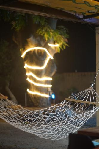 Casa Swell Coronado A unique blend of luxury and nature in the hearth of Coronado