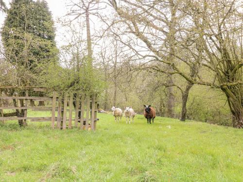 Green Farm Cottage