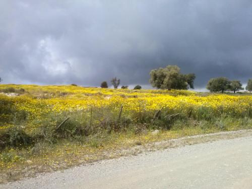 Villa Costas - Popi 4