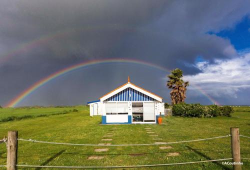 Casa dos Flamingos 4