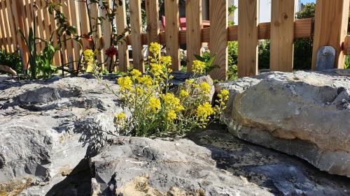 Traumhafte Gartenwohnung in Überlinger Hanglage - Zur goldenen Kiwi