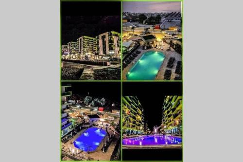 Endless Summer Complex Alezzi