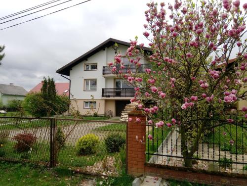 Agrowczasy - Sanok
