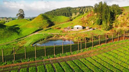 Surrounding environment, Orchard Valley Glamping in Otorohanga