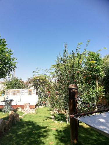 El Sheesh by Barefoot in Tunis