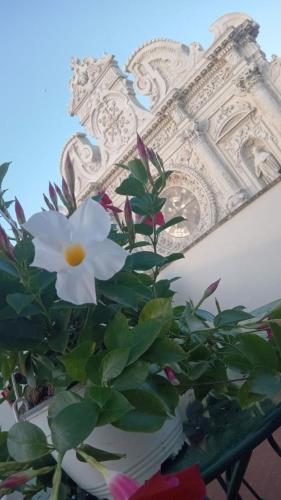 B&B I sei volti Lecce – Lecce, OK