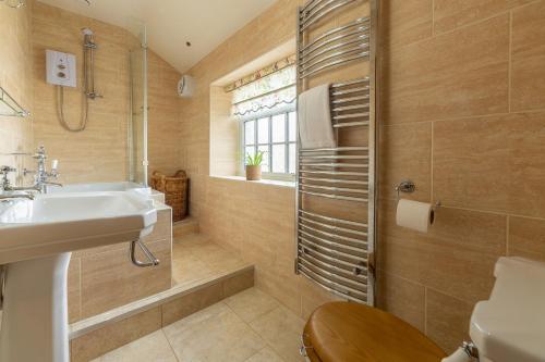 Theaked Stones - image 12