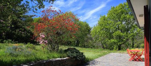 Aux Arbres Chanteurs