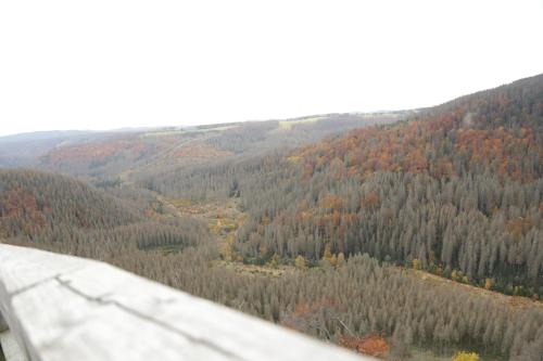 Haus Hohensee - image 3