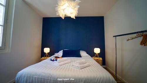 Appartements de caractère centre