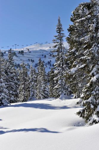 SCOL Sporthotel Zillertal - image 10