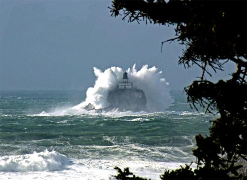 Webb's Scenic Surf