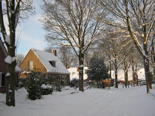 B&B De Esdoorn - image 12
