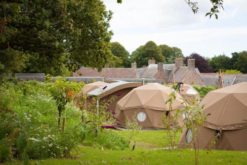 Durrell Wildlife Camp, , Jersey