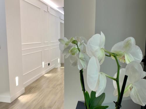 Toledo Boutique Rooms, Naples (photo 3)