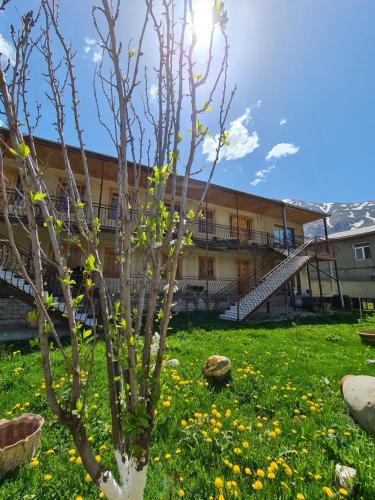 Accommodation in Stepantsminda