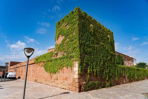 Castillo De Pilas Bonas