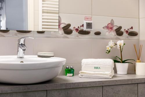 Brasov Holiday Apartments - image 4