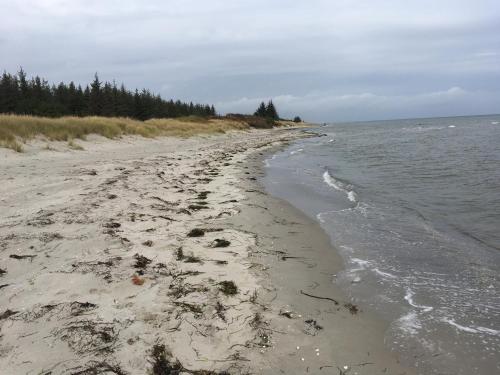 Nordjylland - Kattegat in Asaa