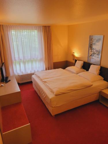 Hotel Baden-Baden Room Type - Superior Double Room