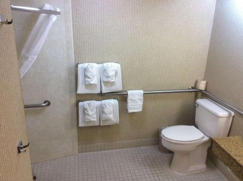 Accessible Room, 1 King Bed, Roll-In Shower, Non Smoking