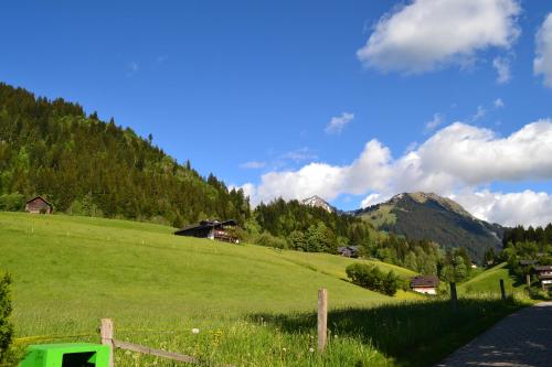 Geniesserhotel Le Grand Chalet