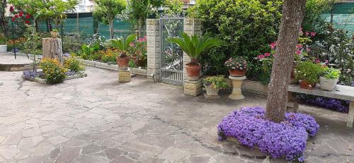  CasAmare b&b in Marzocca di Senigallia