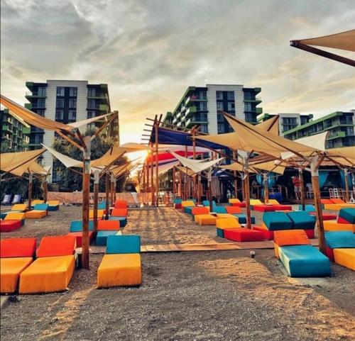 Yvo Lioness & Mamaia Nord - image 3