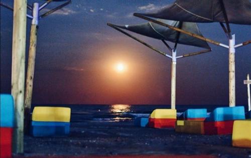 Yvo Lioness & Mamaia Nord - image 11