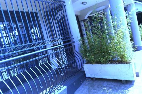 Beautiful 3bedroom Entire Fully Furnished Apartment