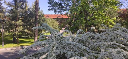 Park-Hotel Kidev - image 6