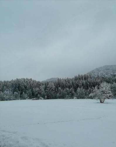Schwarzwald Appartement Schwarzwald Appartement