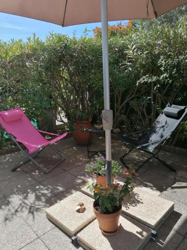 Le jardin de Constance - Location saisonnière - Aigues-Mortes