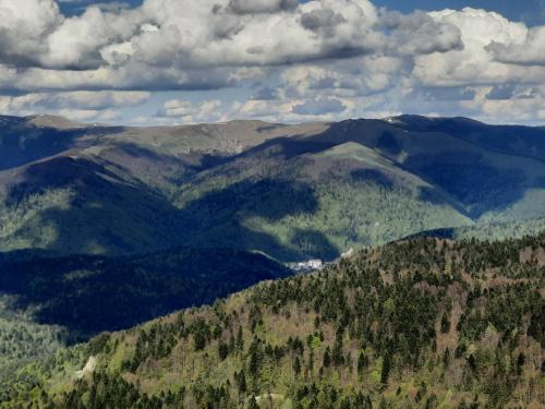 Apartament Erika Sinaia