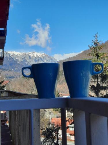 Apartament Erika Sinaia