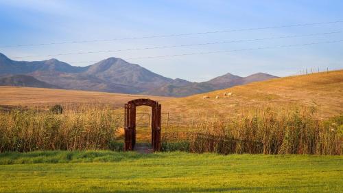 Endless Vineyards at Wildekrans Wine Estate Endless Vineyards at Wildekrans Wine Estate