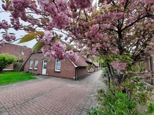 Ebbe in Norden, Deutschland