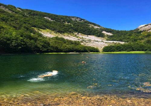 Sports and activities, Apartments Ravno in Pluzine