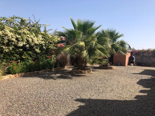 Riad privatif