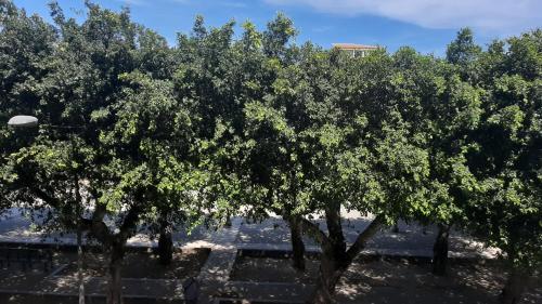 Casa Vacanza L'Orchidea